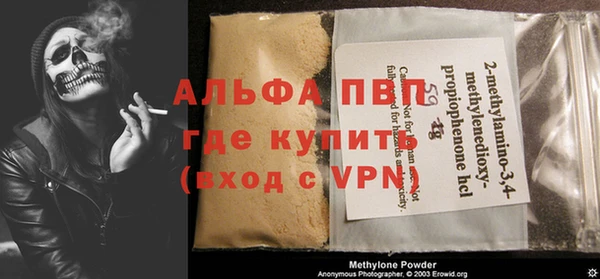 индика Кукмор
