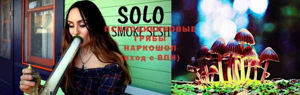дмт Ессентукская