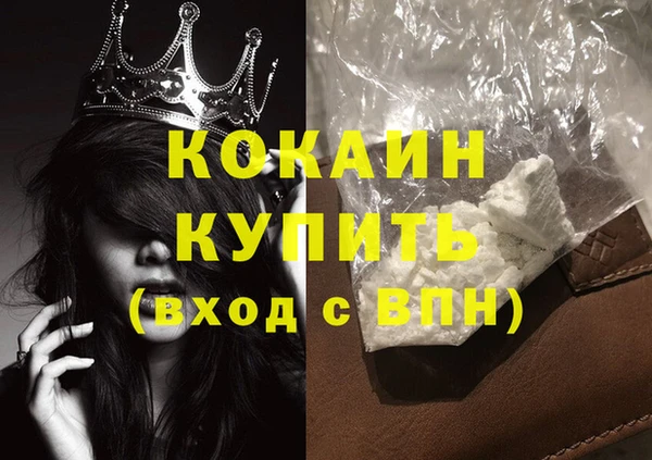 гидра Коряжма