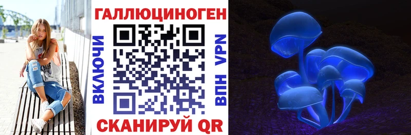 где продают   Когалым  Псилоцибиновые грибы Psilocybe 